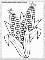Corn Coloring Pages Cob Printable Ear Crops Indian Kids Sheets Colouring Color Clip Clipart Print Realistic Flower Candy Sheet Drawing sketch template