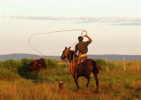 argentinas gaucho cattle herding   estancia audley travel