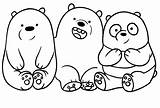Bears Doodle sketch template