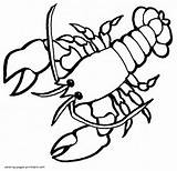Coloring Pages Lobster Animals Sea Printable Template Templates sketch template