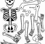 Coloring Pages Body Skeleton Human Bones Bone Systems System Parts Muscular Color Preschoolers Printable Getcolorings Kids Anatomy Print Printables sketch template