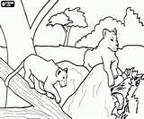 Leones Pintar Felinos Rocas Ombra Sombra Malvorlagen Löwen Schatten Baum Schaduw Lleons Leeuwen Descansando Bajo Katzen Katachtigen Tigre Colorare Felini sketch template