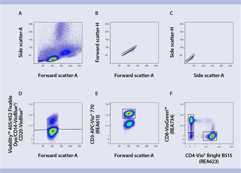 Immunophenotyping Activated T Cells Protocol Miltenyi Biotec 대한민국