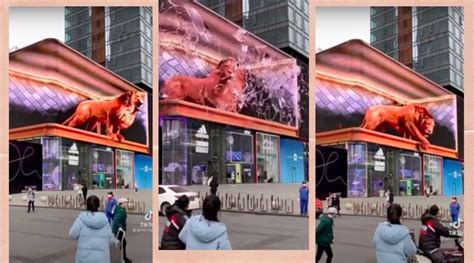 Watch From Roaring Lion To Giant Waves Ultrarealistic 3d Displays