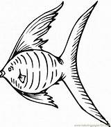 Fish Coloring Angel Library Clipart Coral Reef Angelfish sketch template
