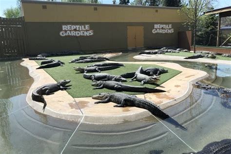 south dakota  home   largest reptile zoo   world