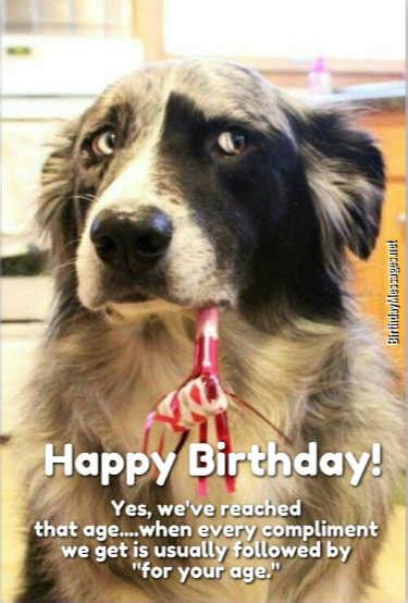 Funny Birthday Wishes 250 Uniquely Funny Messages