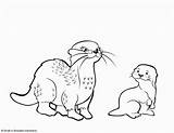 Otters sketch template
