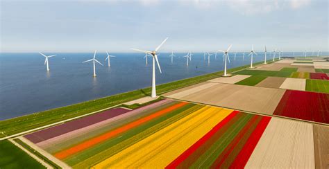 aerial view  tulip fields  wind turbines   noordoostpolder municipality flevoland