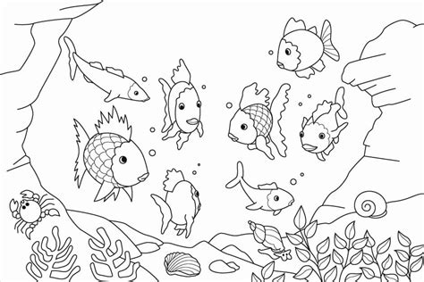 aquarium fish coloring page  printable coloring pages  kids
