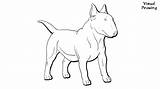 Terrier Staffordshire Dog sketch template