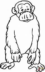 Coloring Chimpanzee Sad Pages Cartoon Drawing Cliparts Animal Orangutans Face Puppy Color Printable Getdrawings Popular sketch template