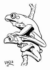Kikkers Kleurplaat Rane Grenouille Frogs Disegno Ranas Colorear Frog Coloriages Schoolplaten Dart Poison Kleurplaten Tekeningen Grote Grenouilles Scarica sketch template