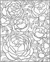 Printable Books Dover Zahlen Nach Colouring Malvorlagen Ausmalen Doverpublications Blumen Weihnachten Ages Rumba Ozornwafor sketch template