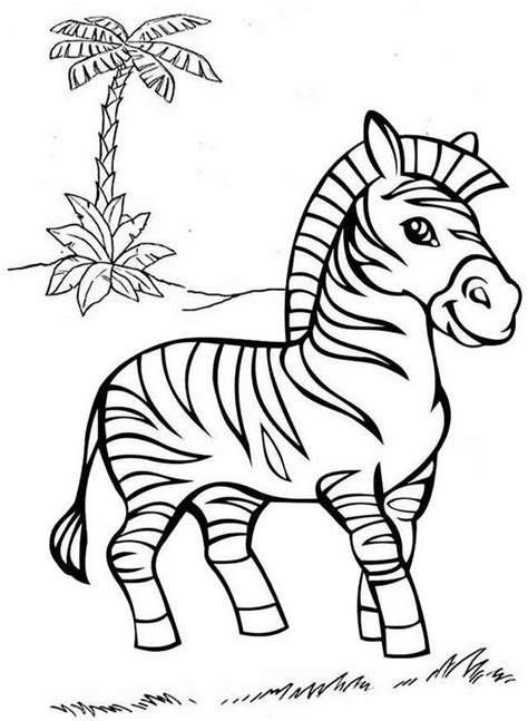 zebra coloring page preschool coloring pages