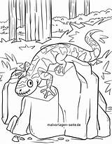 Salamander Malvorlage Feuersalamander Ausmalbilder Malvorlagen Großformat öffnen sketch template