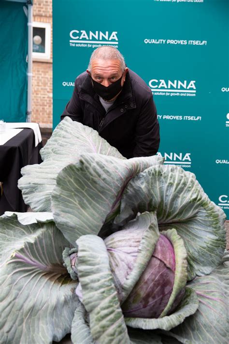 world records set  giant vegetable growers mansfield ashfield sherwood news journal