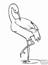 Coloring Crane Drawing Pages Bird Leg Animal Stork sketch template