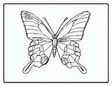 Butterfly Coloring Printable Pages Outline Color Adults Sheet Butterflies Kids Templates Book Mexico Elegant Popular Library Clipart Interesting Facts Information sketch template