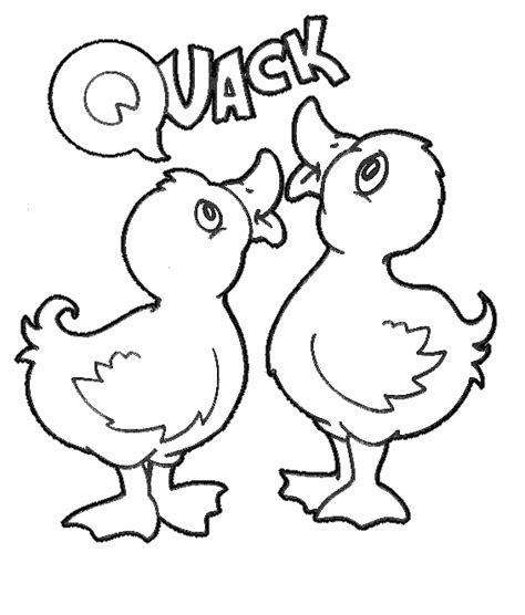 cute animal coloring pages coloring pages  kids