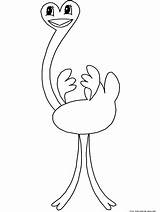 Ostrich Coloringbay 2611 Total sketch template