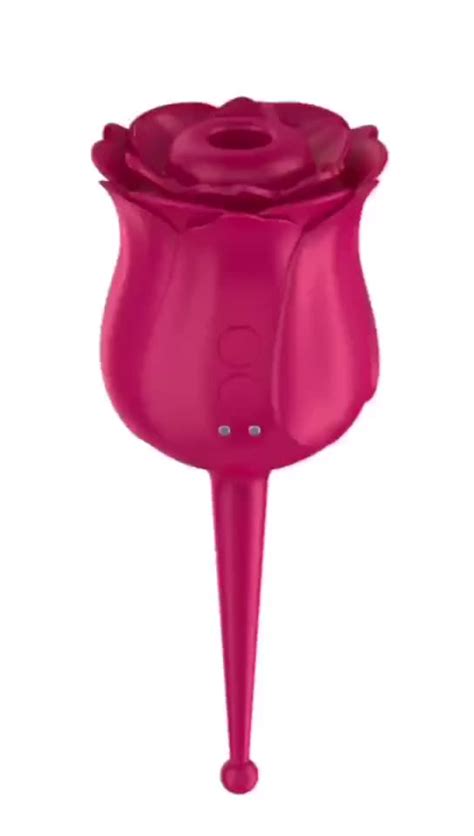 2021 new arrival double vibration red purple rose vibrator sex toy