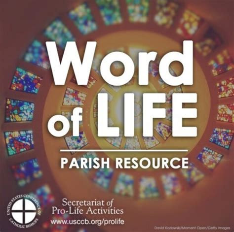 Recommended Reading Pro Life Apostolate And Project Rachel Fall River Ma