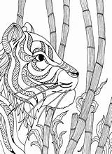 Colouring Adult Sheets Tiger Craft Coloring Pages Supplies sketch template