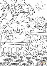 Coloring Pages Summer Garden Nature Printable Color Sheets sketch template