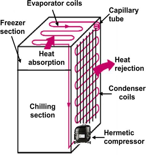 schematic diagram  domestic refrigerator  scientific diagram
