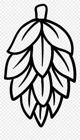 Hops Bitter Pinclipart Cliparts Pngwing Pngegg Symmetry sketch template