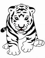 Tigers Detroit Coloring Pages Getdrawings sketch template