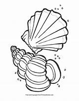 Seashells Summer Coloring Pages Primarygames Seasons sketch template