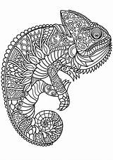 Mandala Animals Drawing Animal Coloring Pages Getdrawings Trending sketch template