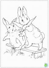 Coloring Rabbit Pages Jessica Peter Popular sketch template