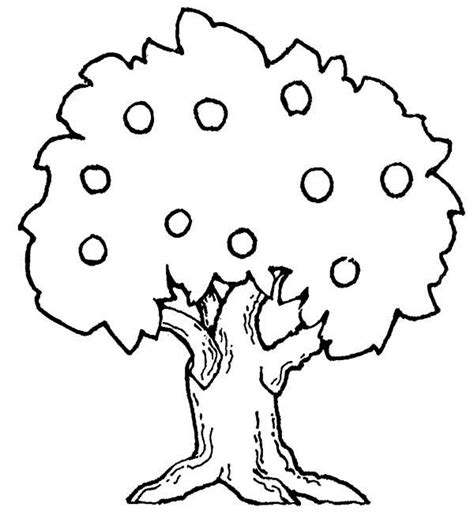 fruit tree coloring clipart