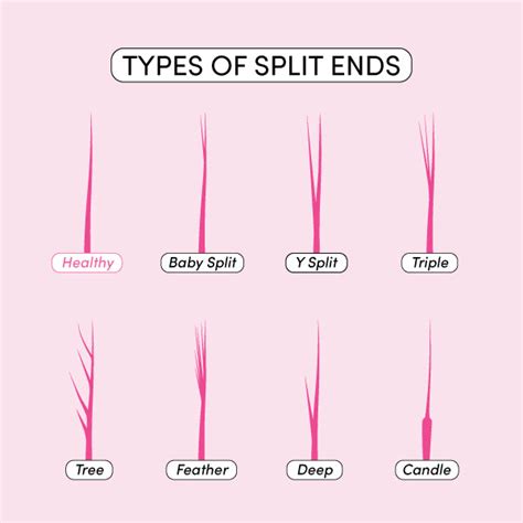 how to prevent split ends coco and eve