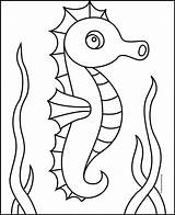 Seahorse Coloring sketch template