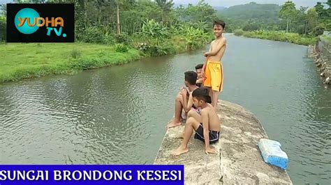 Sungai Brondong Kesesi Pekalongan Youtube