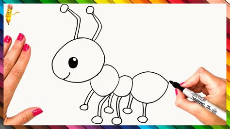 draw  ant step  step ant drawing easy youtube