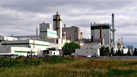 pulp mill shutting   production panow