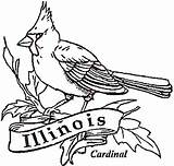 Coloring Cardinal Pages Illinois Bird State Drawing Louis St Printable Florida Cardinals Draw Red Kids Getcolorings Supercoloring Color Getdrawings Missouri sketch template