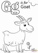 Goat Letter Coloring Pages Preschool Baby Drawing Printable Alphabet Words Color Start Sheets Kids Worksheets Colouring Preschoolers Kindergarten Letters Supercoloring sketch template