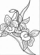 Wecoloringpage sketch template