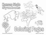 Kansas Coloring State Pages Printable Symbols Flag Sheets Getcolorings Activities Choose Board sketch template