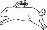 Disegni Colorare Lebre Hare Hase Lepri Correndo Lepre Ausmalbild Ausdrucken Bambini Disegnare sketch template