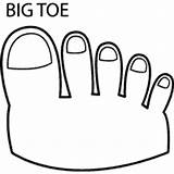 Toe Coloring Pages Surfnetkids Anatomy Hands sketch template