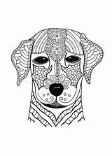Coloring Pages Dog Adult Hard Adults Advanced Woof Animal Printable Cute Pdf Color Face Print Colouring Dogs Animals Sheets Book sketch template