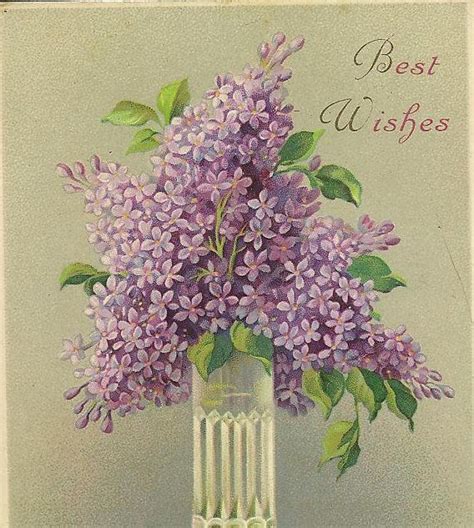 vase  purple lilacs vintage birthday postcard  wimbledon etsy