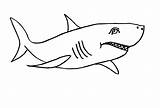 Haifisch Ausmalbilder Malvorlage Kinder Haifische Malvorlagen Fisch Drucken Besten Kindergarten Konabeun sketch template